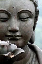 82761485buddha lotus jpg 1